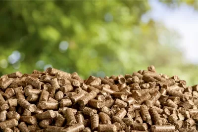 Biomass