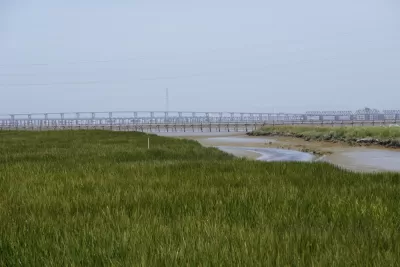 Bay Area Wetlands