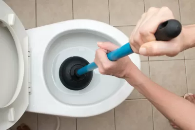 Plunger