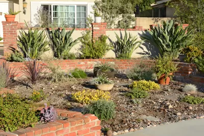 Drought Tolerant Landscape