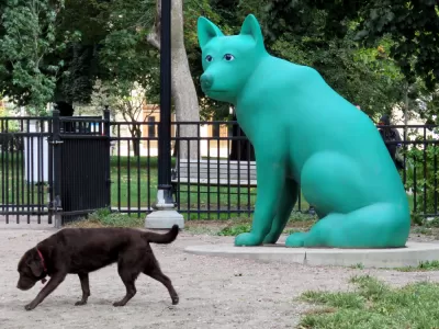 City Dogs