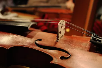 Violin