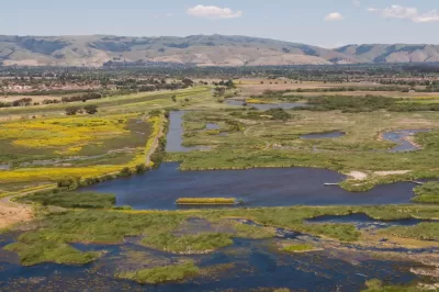 Meadow Wetlands