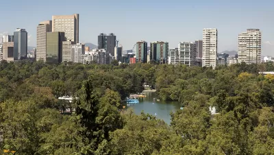 Bosque de Chapultapec