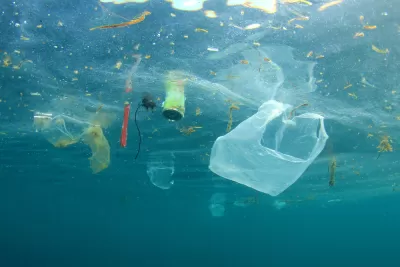 Litter