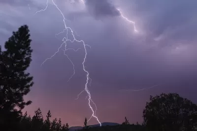 Forest Lightning