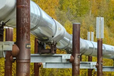 The Trans Alaska Pipeline with the Alaskan forest behind it. The leaves have turned yellow.