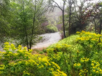 California River