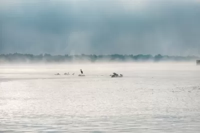 Water