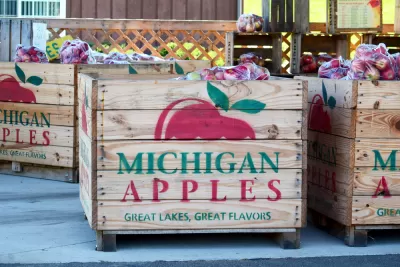 Apple Orchard