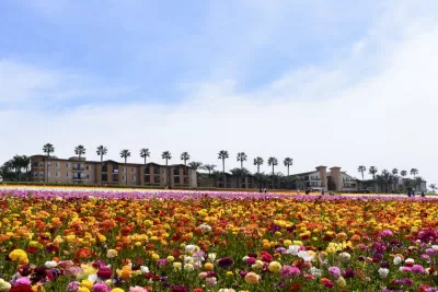 Agricultural Land