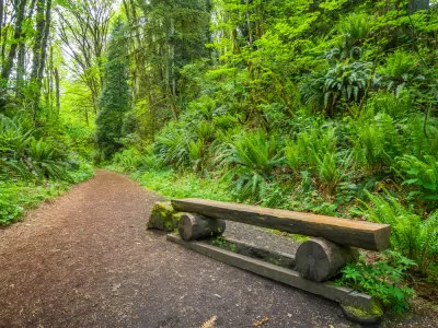 Trail