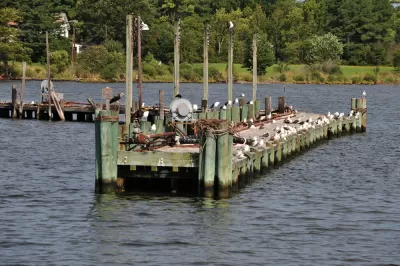 Tangier Island