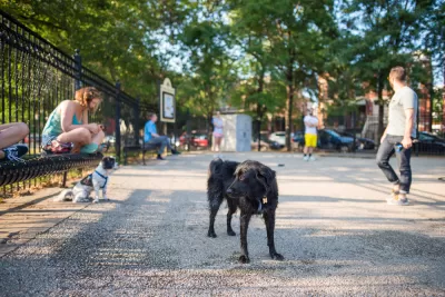 Chicago Dog Park