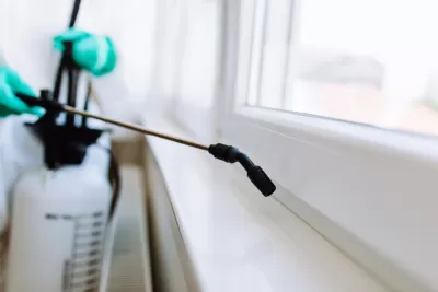 Close-up of person spraying pest control