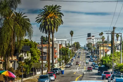 View down a Los Angeles street with cars and tall palm trees on both sides