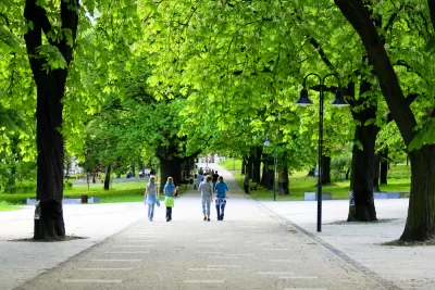 Trees and People
