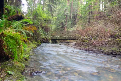 Coast Stream