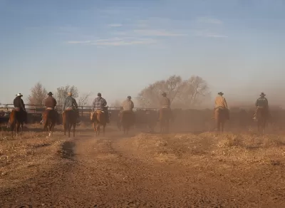 Cattle Ranch