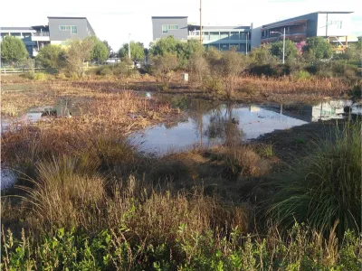 South LA Wetlands Park in Los Angeles, California.