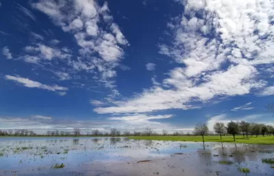 Texas Wetlands