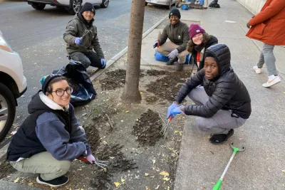 Five people squat by a tree in NYC, helping to care for it.