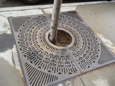 Tree Grate