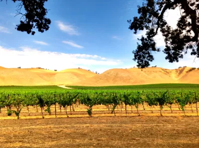 An image of a winery in Paso Robles