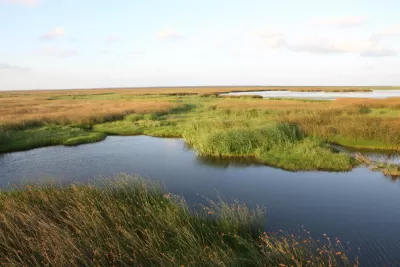 Louisiana Wetlands