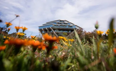 Cover photo from UC San Diego MURP LinkedIn of a medow of flowers covering half of the screen and you overlook them viewing a modern angular building