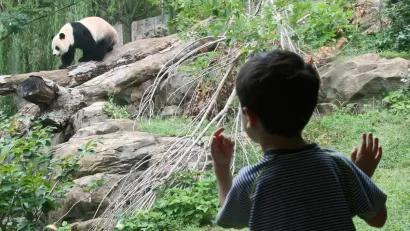 Zoo