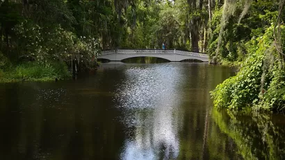Magnolia Gardens