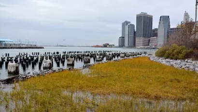 Brooklyn Bridge Park