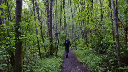 Issaquah Alps