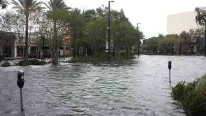 Florida Flood