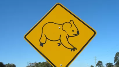 Koala Sign