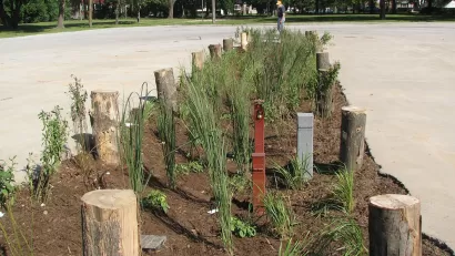 Bioswale