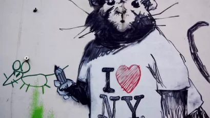 Vermin Graffiti 