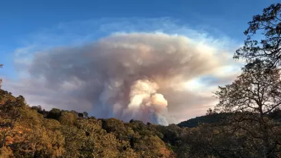 Wildfire
