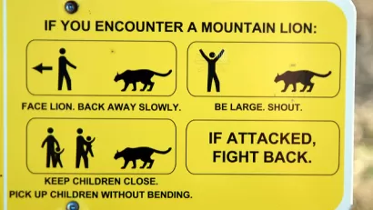 WIldlife
