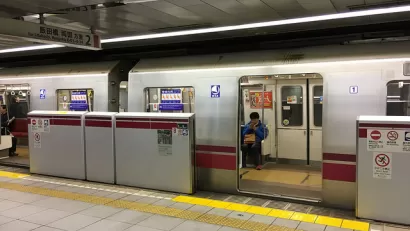 Subway Screen Doors