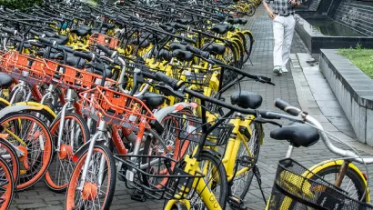 Dockless Bikeshare
