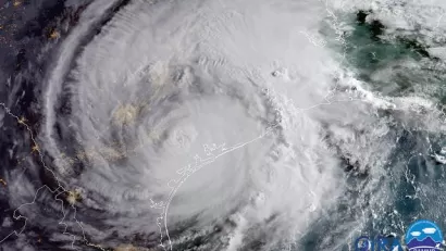 Satellite Image