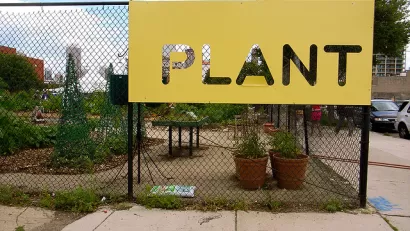 Chicago Community Garden