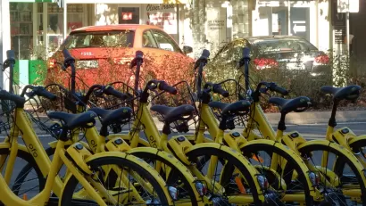Ofo Bikes
