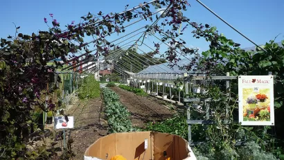 Philadelphia Urban Farm