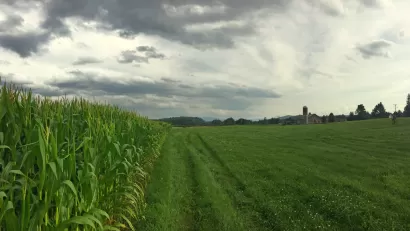 Farmland New Hampshire