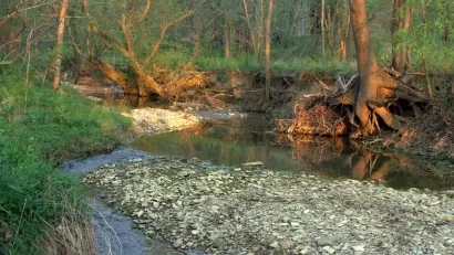 Floyds Fork Louisville