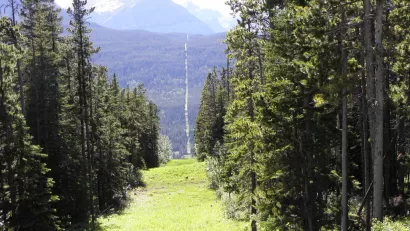 US - Canadian Border at Chief Mountain
