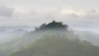 Panama City Rainforest Fog